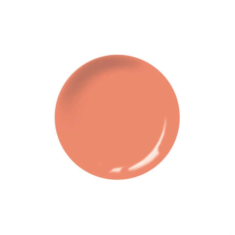 Brush&Go Gél Lakk GOGL41 - 5ml * főképe